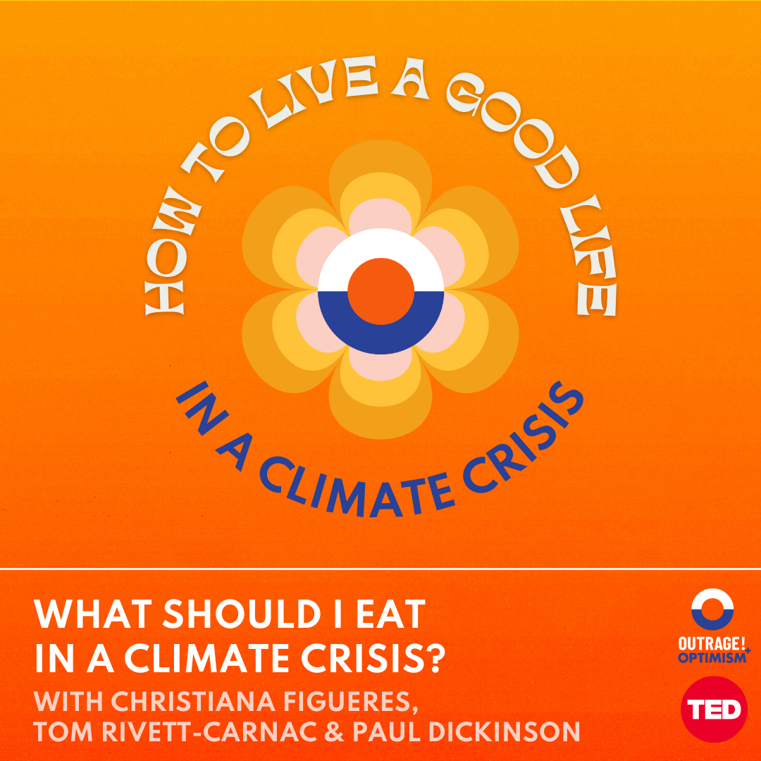 What Should I Eat in a Climate Crisis? cover art